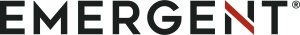 Emergent Logo Gray + Carmine R (002)